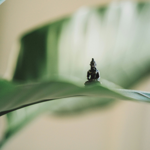 Buddha auf Blatt