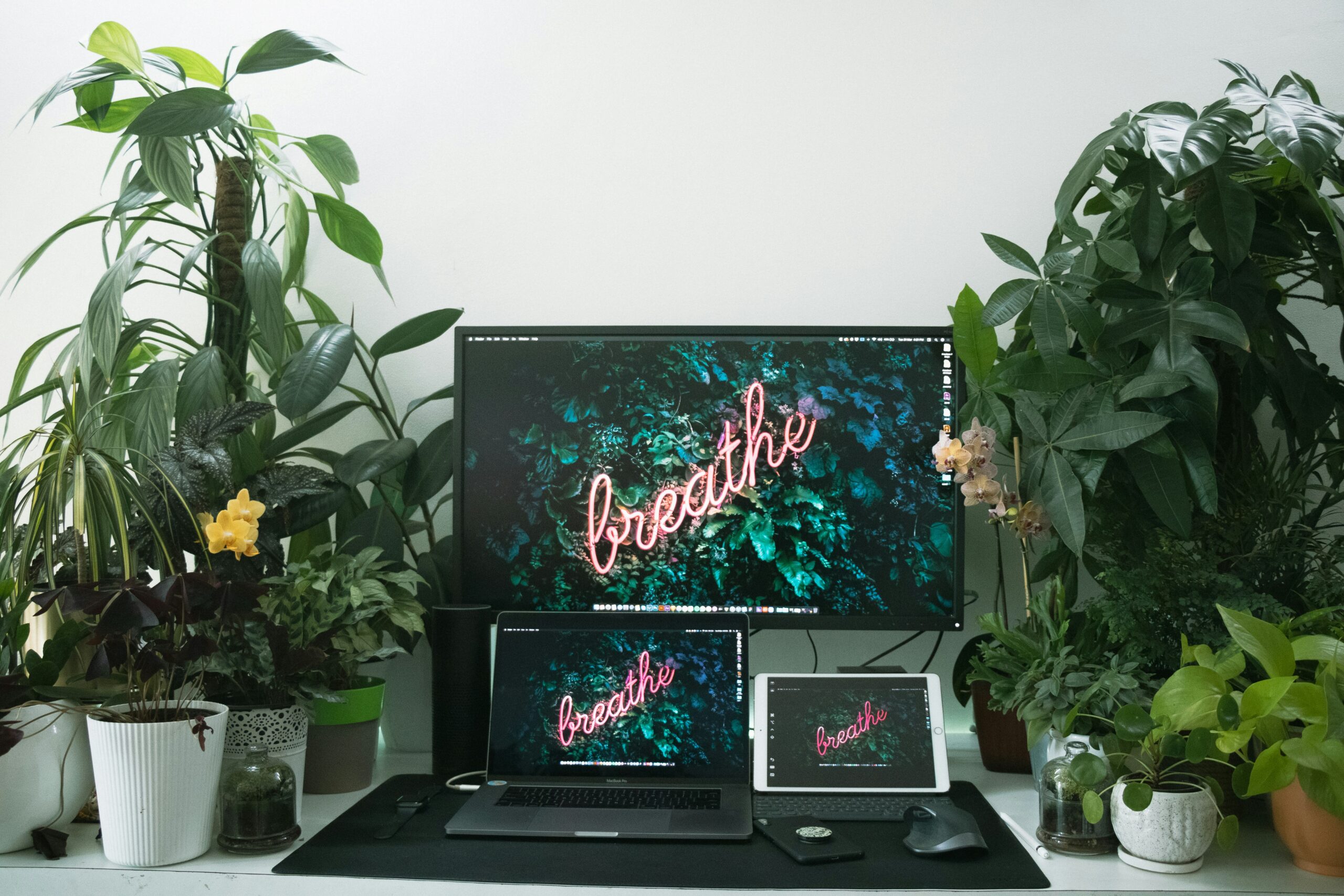office_MM